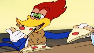 El Pájaro Loco en Español  1 Hora de Compilación  Dibujos Animados en Español  WildBrain [upl. by Teleya486]