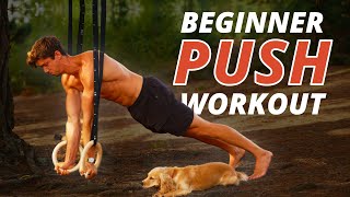 Beginner Rings Push Workout SETS amp REPS [upl. by Lamahj1]