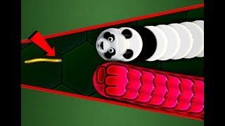 Wormaxio 1 HACKER WORM VS 12500 WORMS  EPIC WORMAXIO GAMPLAY Wormaxio Trolling Best of Wormax [upl. by Hereld686]