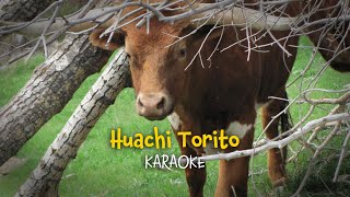 Huachi Torito  Christmas Karaoke [upl. by Buote]