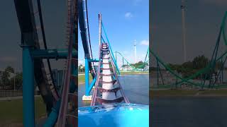 60 Second Review  Mako at SeaWorld Orlando shorts [upl. by Aener]