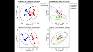 Principal coordinates analysis PCoA in R [upl. by Panthia542]