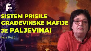 Ana Pejić  SISTEM PRISILE GRAĐEVINKE MAFIJE JE PALJEVINA [upl. by Lundin676]