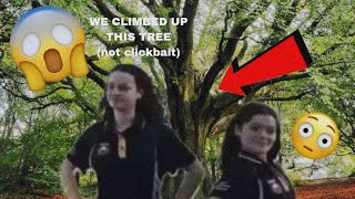 Emmy and Trinity tried to climb up a tree VLOG we failed [upl. by Tyra385]