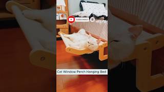 Cat Hanging Bed ❤️ youtubeshortsshorts [upl. by Bertie]