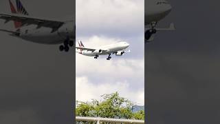 🇵🇭Philippine Airlines A330 ready for landing in HNL Int’l Airport philippineairlines a330 2024 [upl. by Petrick]