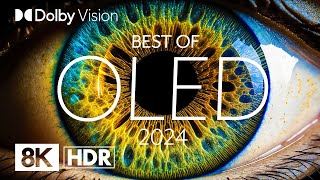 BEST OLED 2024  DOLBY VISION® 8K HDR [upl. by Argella216]