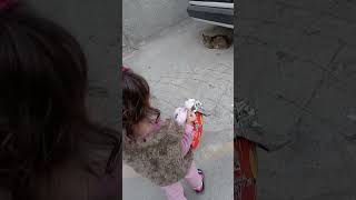 GEL PİSSİ PİSİ MAMA SAATİ 🐈🐱🤗 cat beğenin aboneol keşfetbeniöneçıkar [upl. by Denae]