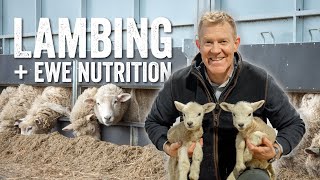 Adam Hensons Farm Diaries Ep1  Lambing 101 amp Ewe Nutrition [upl. by Coffin]