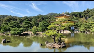 Kinkakuji quotGolden Pavillionquot Temple Kyoto Japan  10142024 [upl. by Libove529]