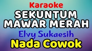 SEKUNTUM MAWAR MERAH Karaoke Nada Cowok Elvy Sukaesih [upl. by Enyahc]