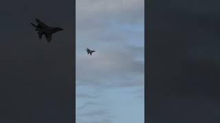 Freewing MiG 29 motionrc spektrumrc fastjets [upl. by Barling]