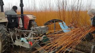 Les producteurs dosier de lOseraie de lîle à Barie [upl. by Anole636]