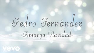 Pedro Fernández  Amarga Navidad Lyric Video [upl. by Enier16]