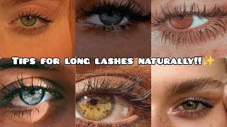 How to get long lashes naturally✨  Tips and secrets for natural long lashes💓  By BeAesthetic [upl. by Houston]