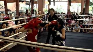 Fairtex Muay ThaiTraining Dummy [upl. by Yila]