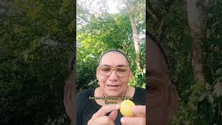 Como limpiar tu casa de malas energias con limones rituales dinero ritualesmagicos [upl. by Eronel843]