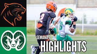 Panteras US21 vs Cimarrones UABC Highlights  Semana 7  Liga Mayor ONEFA 2024 [upl. by Nerek]