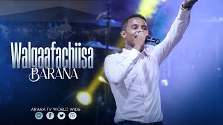 Walgaafachiisa Barana  SINGER SOLOMON ALEMU  New Afaan Oromo Live Worship  araratvworldwide ​ [upl. by Chill]