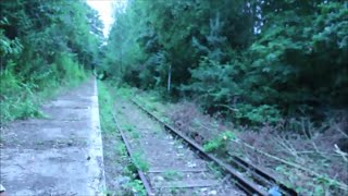 Abandoned Watford and Rickmansworth Railway Exploration [upl. by Chandless107]