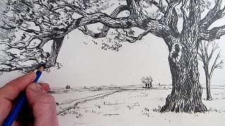 How To Draw A Tree Narrated step by step [upl. by Htbazile246]