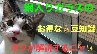 【網入りガラス】熱割れのガラス交換、知っておくべきお得な💰豆知識をジンくんがじっくり解説、の巻 [upl. by Varipapa65]