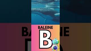 apprendre Lalphabet des animaux Lettre B shortsvideo maternelle baleine [upl. by Monafo793]