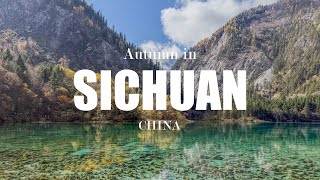 A Week in China  Chengdu Jiuzhaigou Leshan amp Emeishan  Travel VLOG [upl. by Aynod]