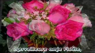 JOYEUX ANNIVERSAIRE SYLVIE 04072010wmv [upl. by Lindahl]