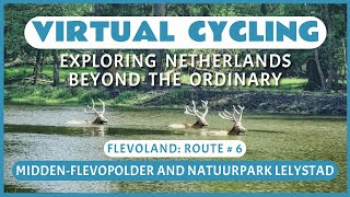 Fietsroute door MiddenFlevopolder en Natuurpark Lelystad  Virtueel Fietsen [upl. by Nylirac]