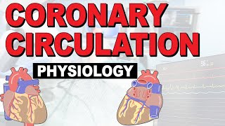 What is the PHYSIOLOGY of the coronary circulation [upl. by Paley]