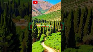 Sacred Groves 🌲 Unveiling Ouadi Qadisha The Holy Valley amp Cedar Forest of Gods Pt 2 [upl. by Dari898]