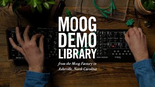 Moog Mavis  How to Integrate with Mother32 DFAM amp Subharmonicon [upl. by Atsirt]