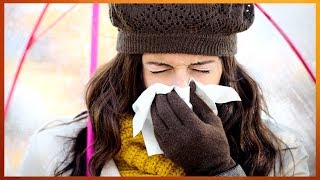 Is Allergy Season Worse This Year  Rachael Ray Show [upl. by Xavier]