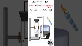 How to react metal with acid activity 23 chemistry class 10 scienceexperiment [upl. by Daas]