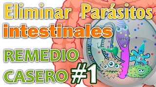 ELIMINAR PARÁSITOS INTESTINALES REMEDIO CASERO N° 1 [upl. by Saraann980]