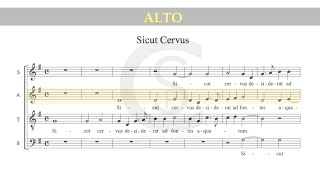 Sicut Cervus Palestrina ALTO part [upl. by Nabala341]