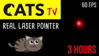 CATS TV  Real Laser Chaser 60FPS 🔴  3 HOURS Video Game for Cats Only [upl. by Corry561]