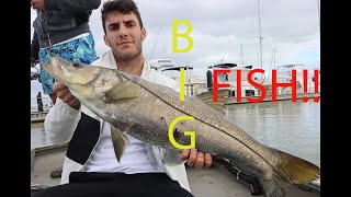 Fishing Sea Walls and Docks for HUGE SNOOK [upl. by Leontine]