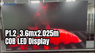 P12 36mx2025m COB LED Display [upl. by Thorlay755]