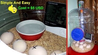 DIY  Hatching Egg Incubator Simple And Easy  Homemade Incubator [upl. by Ayalahs]