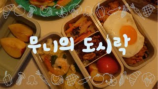 Todays dosirakpacked lunch 21  Korean homecooked meal Lunch Box [upl. by Dreda]