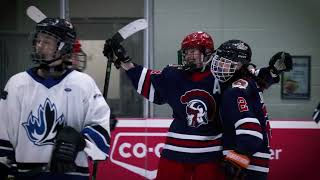 SHS Titans Girls Hockey Finals 2024  Promo [upl. by Isdnil437]