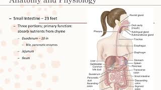 Introduction to Gastrointestinal Disorders [upl. by Anak420]