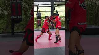 Muay Thai Sweep Combo [upl. by Lleneg496]