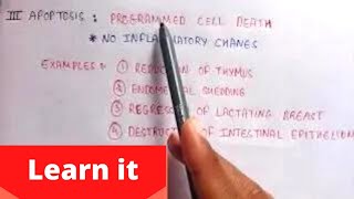 Autolysis Necrosis Apoptosis  Morphology of irreversible cell injury  pathophysiology [upl. by Ateekram]