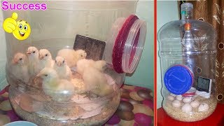 Homemade Incubator  Chicks HatchedResult  How to Make an Egg Incubator [upl. by Etteinotna]