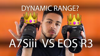 Canon R3 vs Sony A7siii  Dynamic Range comparison [upl. by Laurena]