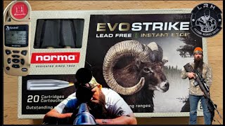 Ballistics gel hunting vs match bullets Episode 32 Norma evostrike [upl. by Eerot432]