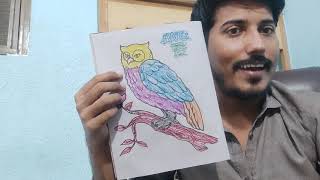 Hey today we will be colour the scetch of OWL he looking sp serious [upl. by Blalock]